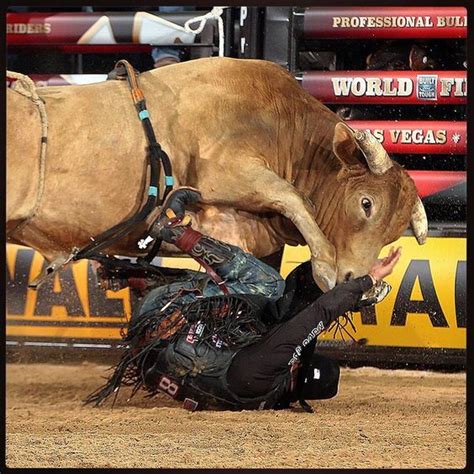 Bull Riding Bodacious Pbr Bulls And Riders Pinterest Las Vegas The O Jays And Finals