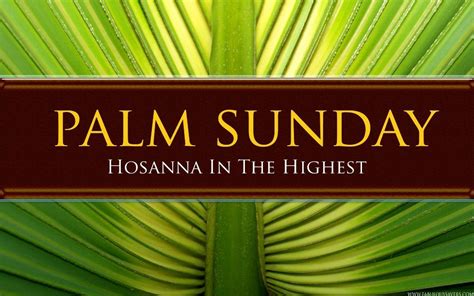 Palm sunday is the first day of the holy week. Happy Palm Sunday 2014 HD Images, Greetings, Wallpapers ...