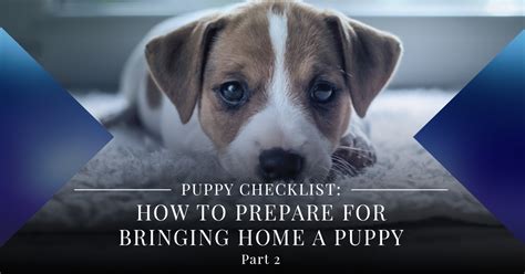 Puppy Checklist How To Prepare For Bringing Home A Puppy Pt 2 Eagle