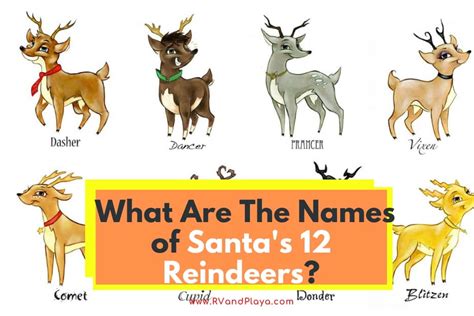 Reindeer Names Svg Bundle Christmas Reindeers Cut Files Atelier Yuwa