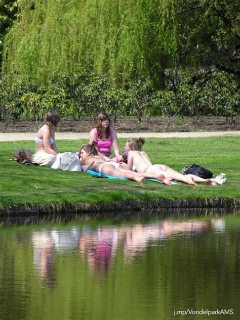 Vondelpark Amsterdam You Wont Believe Why Dog Owners Are Upset