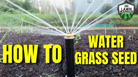 How To Water Your Lawn After Seeding How To Water New Grass Seed