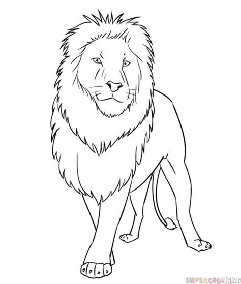 Hi all, i made this super easy tutorial of how to draw a lion, just follow the simple step by step video or the images down this page. How to draw a cartoon lion | Step by step Drawing ...