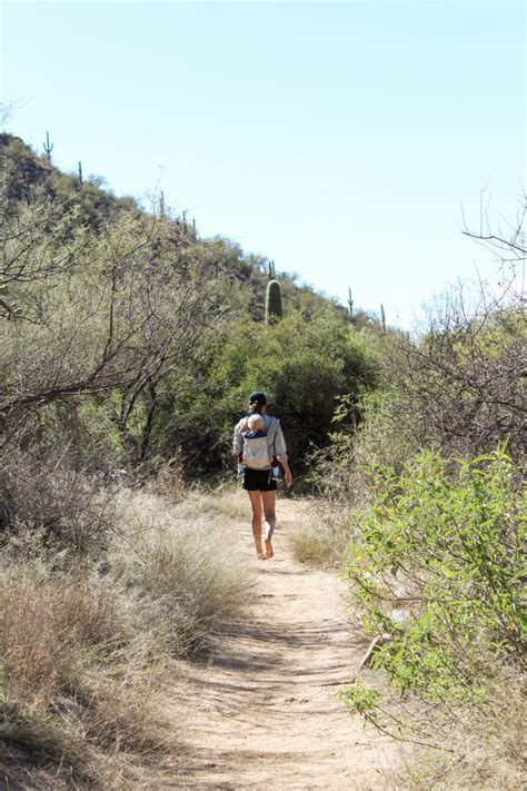 Seven Falls Trail In Sabino Canyon Hiking In Tucson Arizona No Man