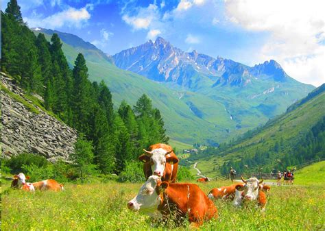 Dort versorgten sich die gastwirte mit billigem italienischem wein, kaffee oder zigaretten. Tauferer Ahrntal - Südtirol