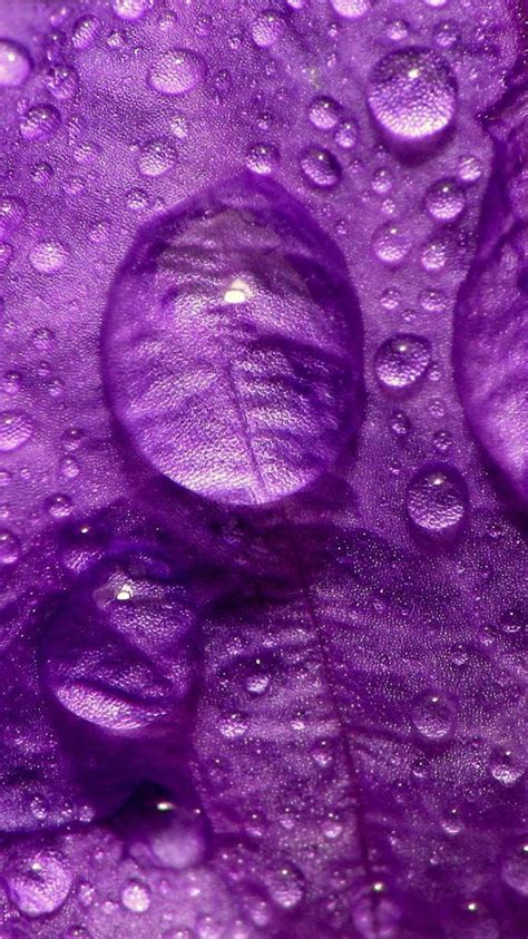 Aug 24, 2020 · microsoft outlook and other modern email clients have a lot of plain, white backgrounds. 30 HD Purple iPhone Wallpapers