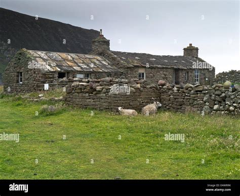 Dh Rackwick Hoy Orkney Stone Cottage Bothy Sheep Sheltering Stone Wall House Uk Scotland