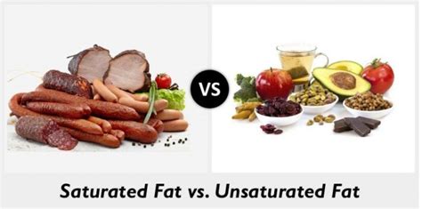 Unsaturated Fat Examples More Information