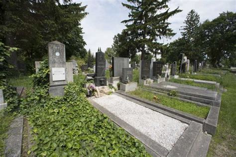 Vienna Central Cemetery ‒ City Of The Dead Getyourguide