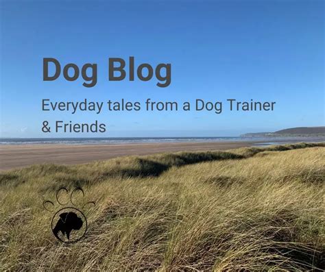 Canine Support Dog Blog