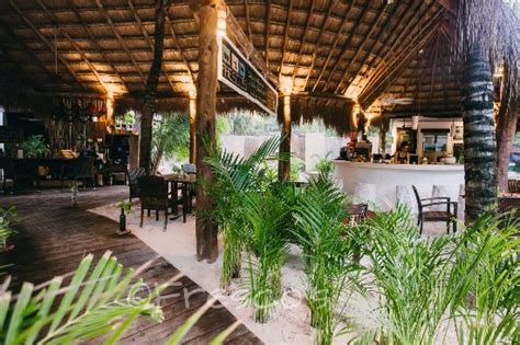 Hotel Cabanas Tulum México Opiniones Comparación De Precios Y Fotos