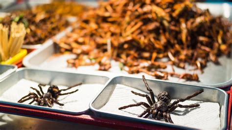 Worlds Weirdest Dishes Fried Tarantula From Cambodia Knowinsiders