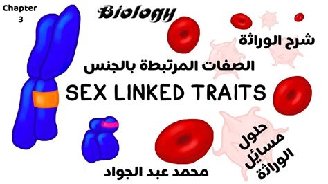 episode 10 i unit 3 i chapter 3 i sex linked traits i youtube