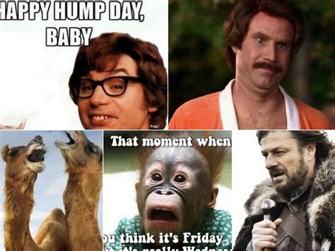 Happy Hump Day Meme