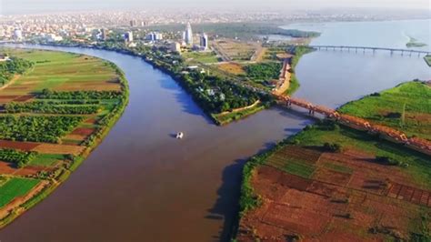 مصب نهر النيل