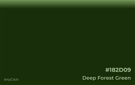 Deep Forest Green Color Artyclick