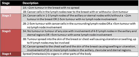 About 1 in 8 women are diagnosed with breast cancer during their lifetime. Types of Breast Cancer | 2014 SSC2a C2