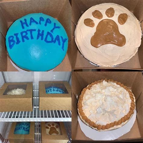 Cakes So Fresh And Delicious They Will Make You Bark With Joy Stop By