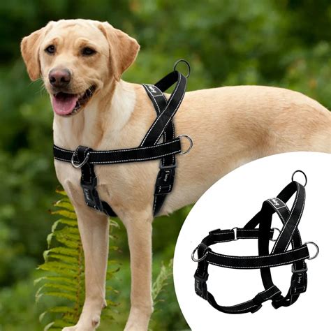 Best Dog Harnesses Wikilove