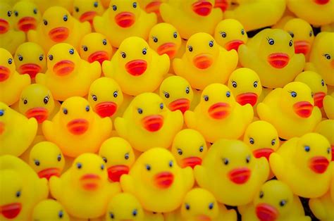 Hd Wallpaper A Lot Of Yellow Duck Toy Many Rubber Ducks Isolated Cute Wallpaper Flare
