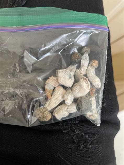 what strain are these ? : r/shrooms