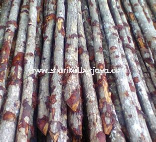 Chemical containers manufacture from malaysia: Kayu Bakau 2 1/2" up Foundation Pilling Building Material ...