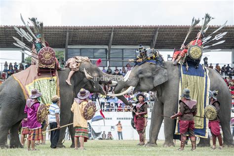 Elephants At The Elaphant Show In The Stadium At The Traditional