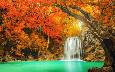 Download Tree River Pond Forest Turquoise Fall Nature Waterfall Hd