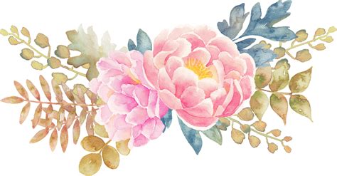 Floral Watercolor Png Flower Peony Painted Watercolor Elements Floral