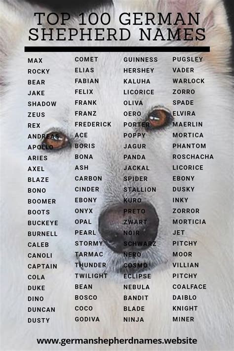 Top 100 German Shepherd Names For More Names Visit Our