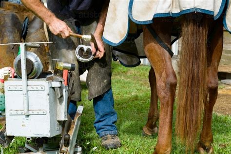 Image Of Farrier With Tool Box Shoeing A Horse Austockphoto