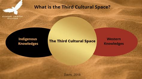 Are You Working Within The Third Cultural Space Stronger Smarter