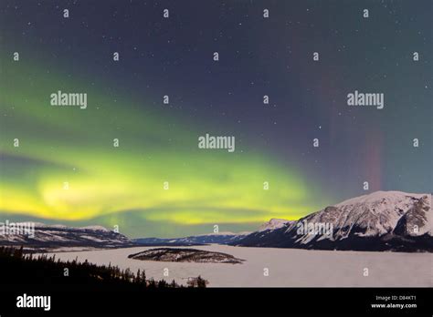 Aurora Borealis Over Bove Island Windy Arm Carcross Yukon Canada