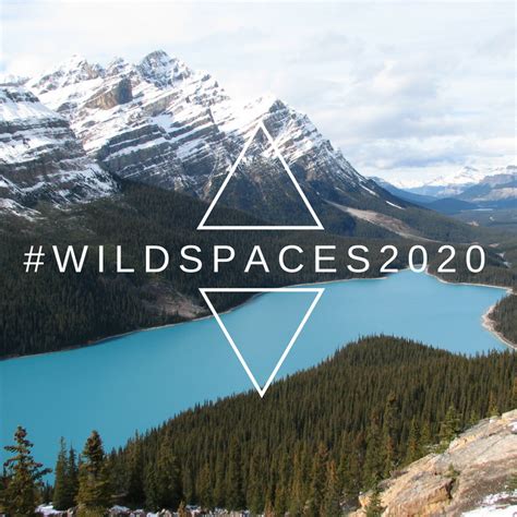 Wild Spaces 2020 Alberta Wilderness Association