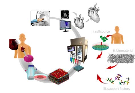 3d Bioprinting Research