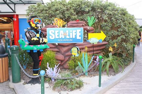 Our Visit To Sea Life Aquarium In Carlsbad Any Tots
