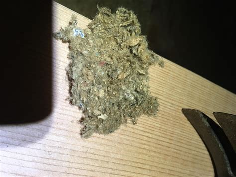 What is this insulation. Is it asbestos? : whatisthisthing