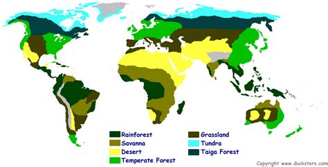 Biomes And Ecosystems Biomes Of The World