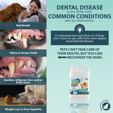 Dental Fresh Water Additive For Dogs And Cats Clinically Proven