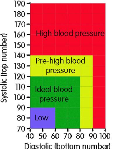 What Is Systolic And Diastolic Pressure And The Ideal Numbers Dr Sam Robbins