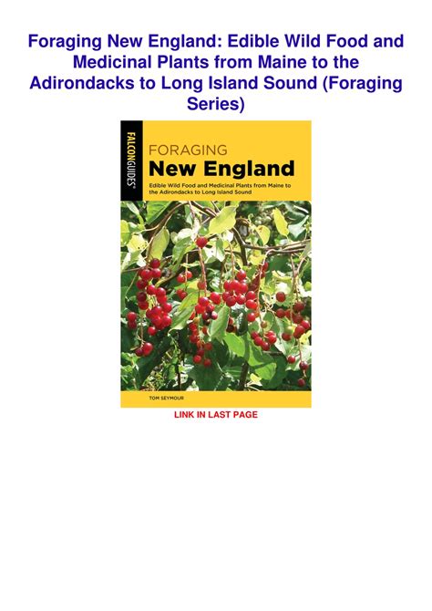 Ppt Pdfreaddownload Foraging New England Edible Wild Food And
