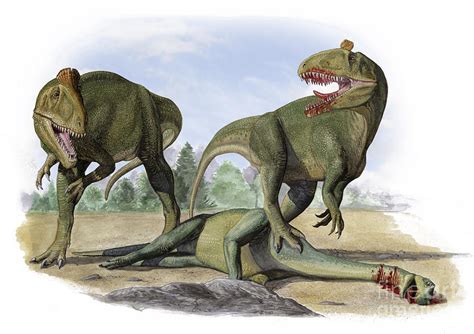 Two Cryolophosaurus Ellioti Dinosaurs Digital Art By