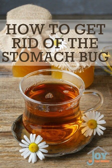 How To Get Rid Of The Stomach Bug Natural Healing Remedies Natural
