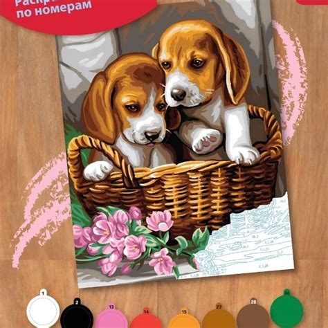 Basket Of Puppies Junior Painting By Numbers Paint By Numbers