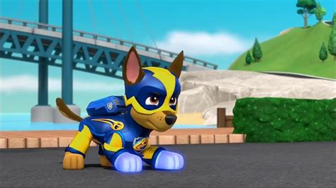 Pin By Randall Alexander On Paw Paw Chase Paw Patrol Paw Patrol