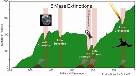 Top 10 Mass Extinctions Listverse