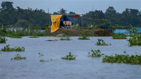 Flood Situation Remains Grim In Assam Over 25 Lakh Still Hit Firstpost