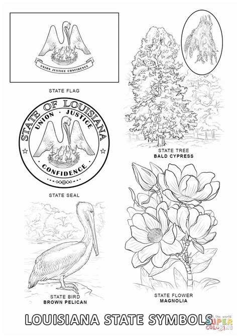 Louisiana State Tree Coloring Page Coloring Pages