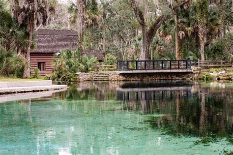 17 Fun Things To Do In Ocala Florida Florida Trippers