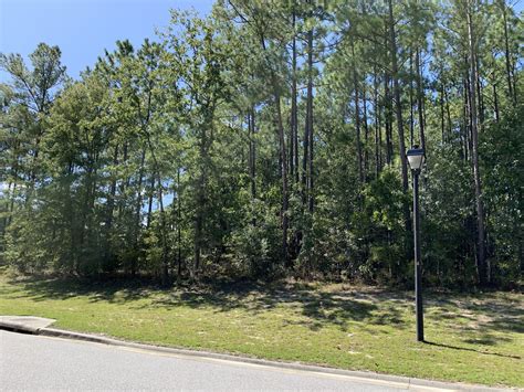 NEW LOT LISTING IN SPRINGFIELD OVER 12 AN ACRE IN CORNERSTONE SUBDIVISION